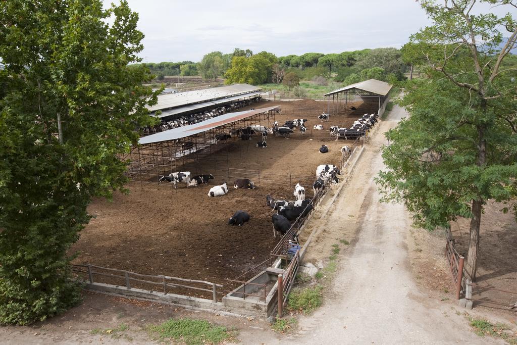 Agriturismo Pantano Borghese Monte Compatri Bagian luar foto