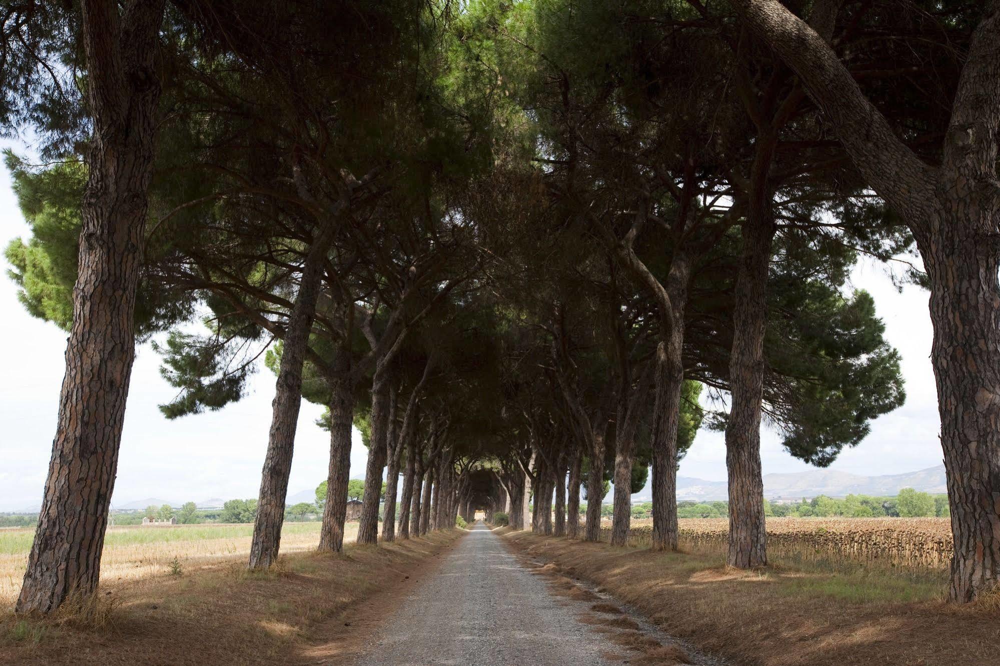 Agriturismo Pantano Borghese Monte Compatri Bagian luar foto